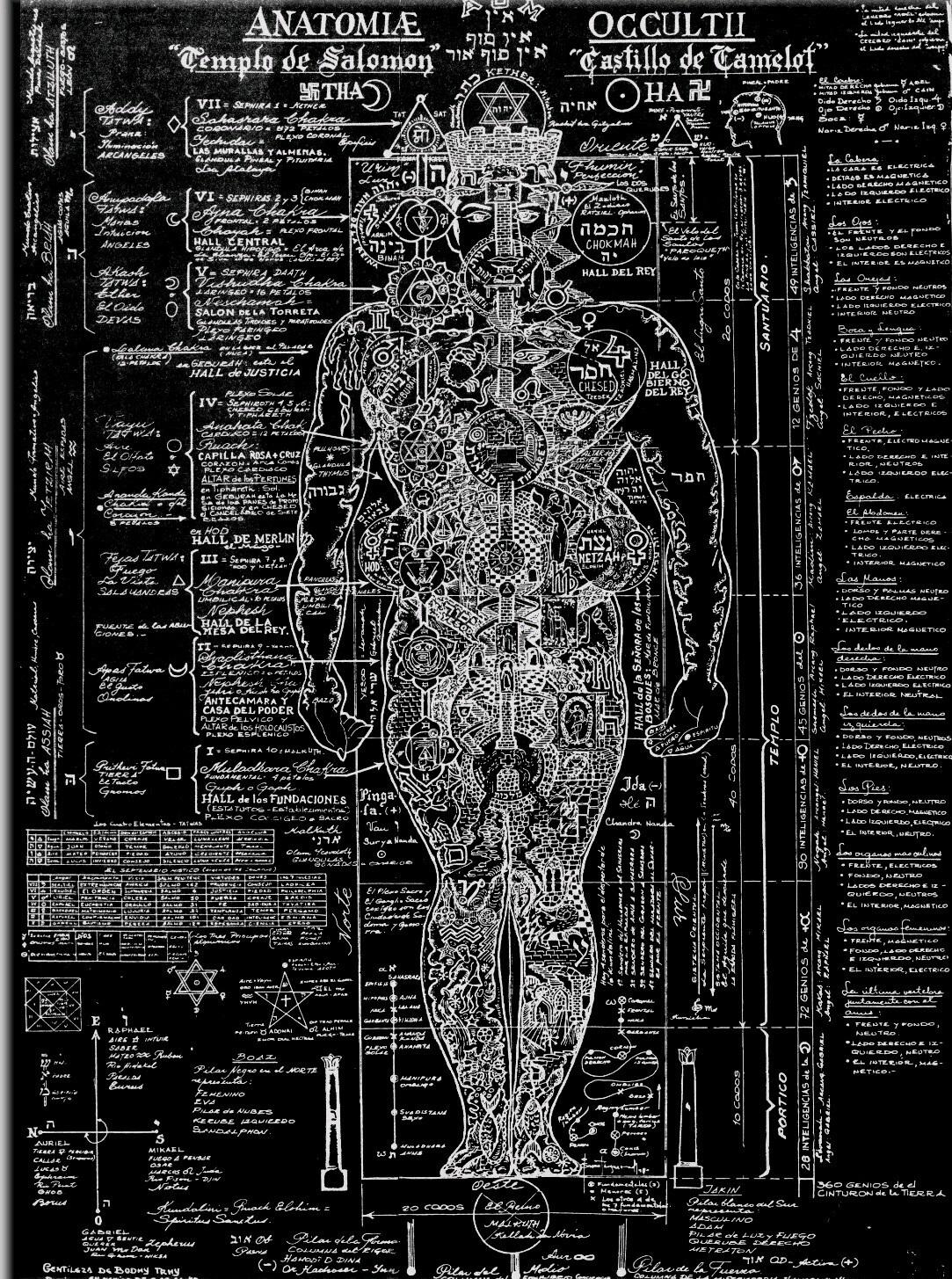 Large Wall Art Poster  