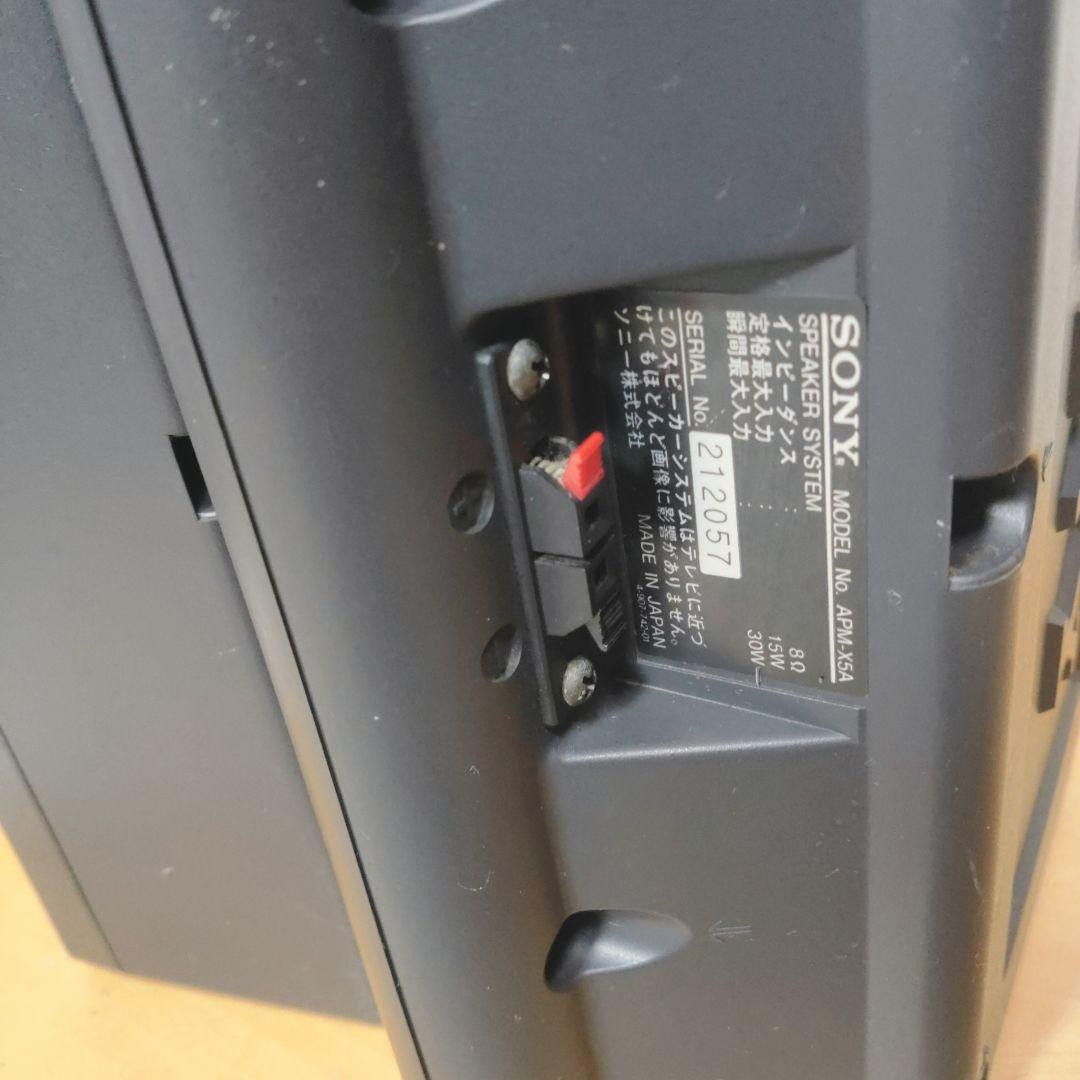 Sony APM-X5A Flat Panel 2-Way Speakers Pair Magnetic Shielded