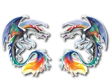 2 Dragon Decal Tumbler Car Truck Window Bumper Wall Decal Sticker Girl Fantasy