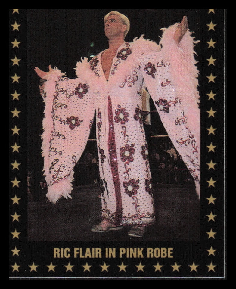 1991 Championship Marketing WCW World Championship Wrestling Cards Pick Choose - Image 3 of 4