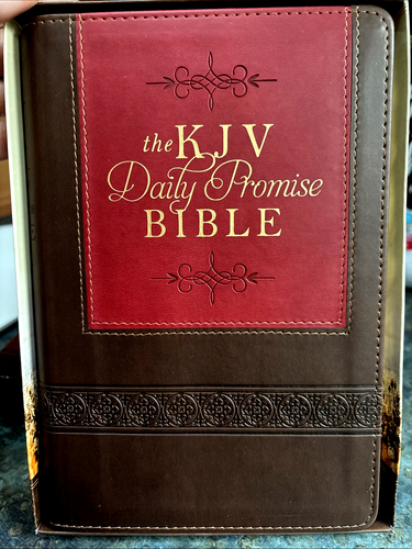 The KJV Daily Promise Bible: The Entire Bible Arranged in 365 Daily Reading NEW! - Picture 4 of 8