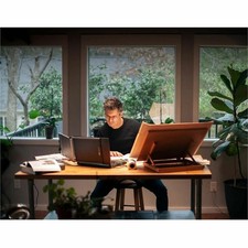 Mobile Pixels Duex Max DS 14 Class LCD Monitor - Black" 1011007p06 