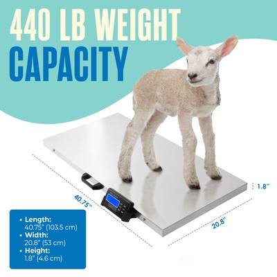 Houseables Dog Scale for Large Dogs, Vet Pet Scales, Digital 