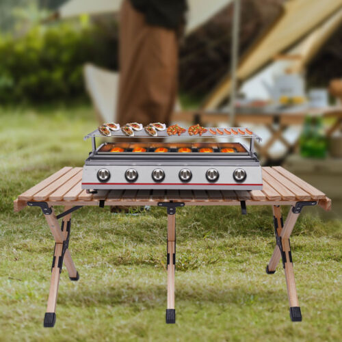6 Burner Gas BBQ Grill Stainless Steel Barbecue Table Top Grill Outdoor Cooking