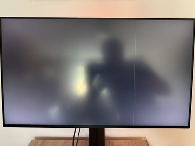 LM270WR8-SSA1 Panel /  27'' 4K IPS 144hz - 160hz / DEFECTIVE zB für LG 27GN950-B