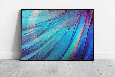Detailansicht eines weichen zarten blauen Flügels eines Schmetterlingsinsekten Makros