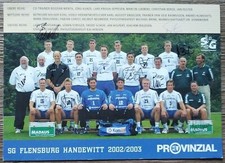 A26 SG Flensburg Handewitt 2002/03 Handball AK 22 x original signiert