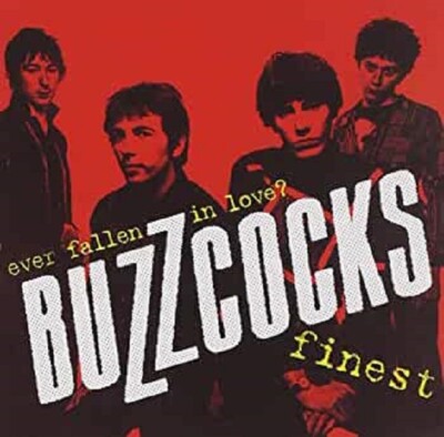 BUZZCOCKS - FINEST : EVER FALLEN IN LOVE CD ~ GREATEST HITS~BEST OF ~ 70's *NEW*