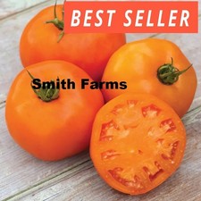 50 Seeds Orange Slice Tomato Hybrid Juicy Easy to Grow Vegetable Garden