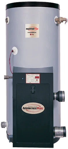 Rheem HE45-160 Advantage Plus Gas Commercial Water Heater NG/LP 45 Gal.  160K BTU | eBay
