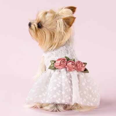 Fitwarm Luxury Rose Lace Pet Dog Wedding Dress Bride Clothes Formal Medium | eBay Fitwarm Luxury Rose Lace Pet Dog Wedding Dress Bride Clothes Formal Medium | eBay