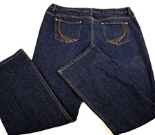 Y2K Canyon River Blues Women Jeans Size 18 Short x 29 Modern Fit Straight Dark