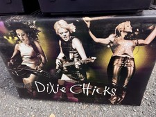 2 DIXIE CHICKS PROMO ONLY Vinyl Posters 48&rdquo;X 35&rdquo; Americana Record Store Promo