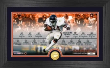 Walter Payton Bears Career Timeline Bronze Coin Framed 12x20
