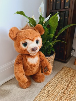 Hasbro FurReal Teddybär Cubby der neugierige Bär interaktives Kuscheltier    