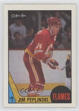 1987-88 O-Pee-Chee Jim Peplinski #209 t4m