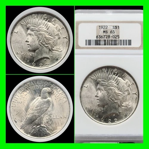 Graded 1922 P NGC MS65 Peace Silver Dollar $1 1922P MS-65 Blast White High Grade