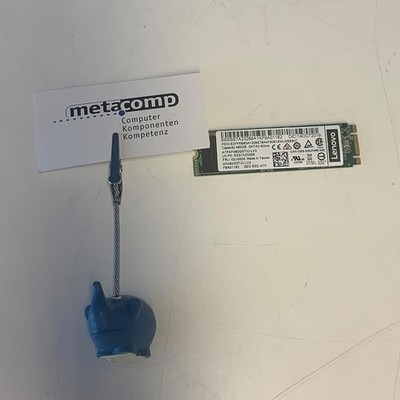 Lenovo ThinkSystem M.2 480GB Industrial A600i SATA SED SSD (4XB7A37271)