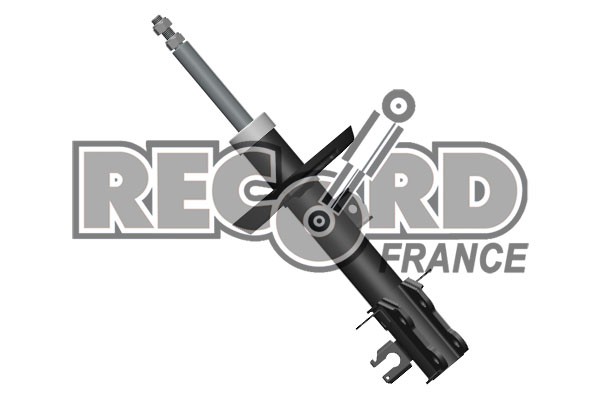 Amortisseur Record France 234596 jeu de 2 bitube a gaz pour stabilite en virage