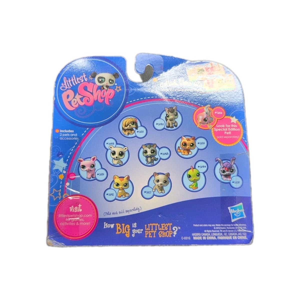 NIP RARE Littlest Pet Shop LPS Prized Pets #1817 Kitten #1818
