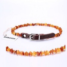 Bernsteinkette Hund, Bernstein Halsband für ...