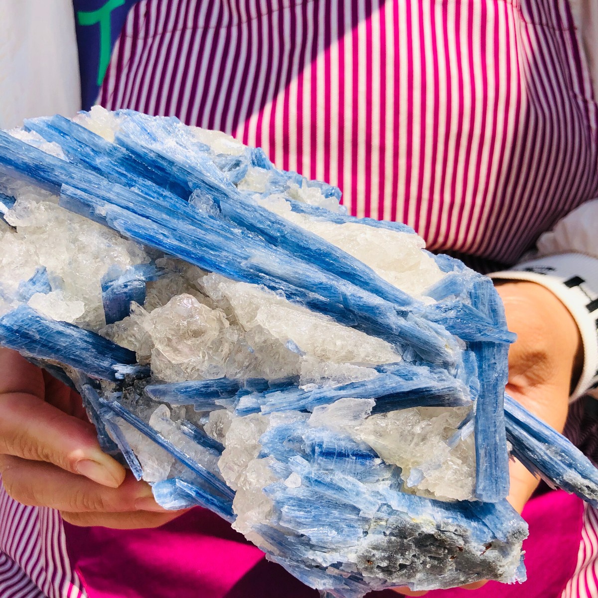プランクトン大全 1230g Natural Kyanite Quartz Crystal Cluster Mineral