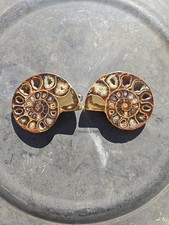 Fossilized Ammonite Pair From Madagascar