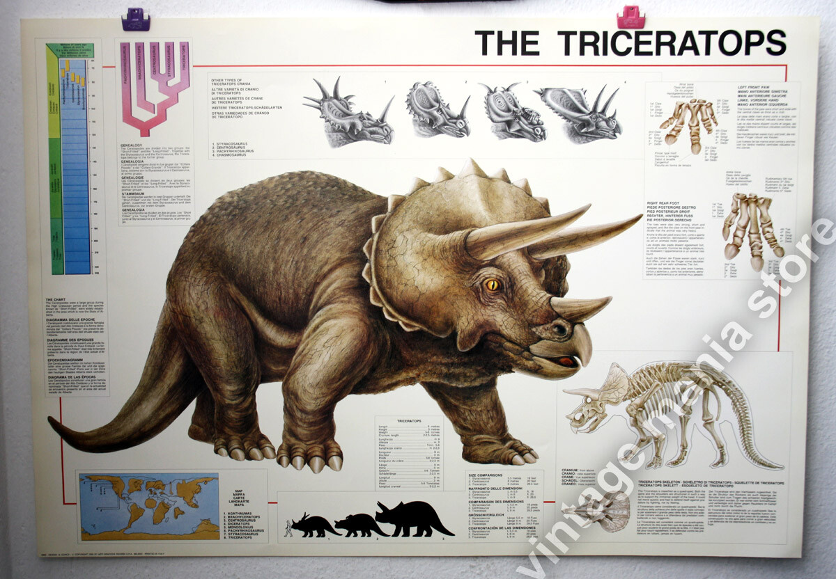 AUTHENTIC VINTAGE 1993 TRICERATOPS DINOSAUR 68X99cm HOBBY POSTER