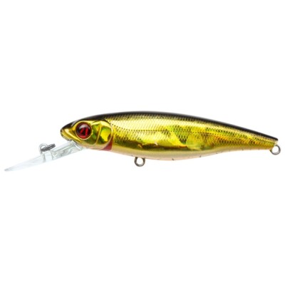 Pontoon21 GreedyGuts 88SP-MDR 402 CB Crash HG Black&Gold, Lenght mm 88, Suspe...