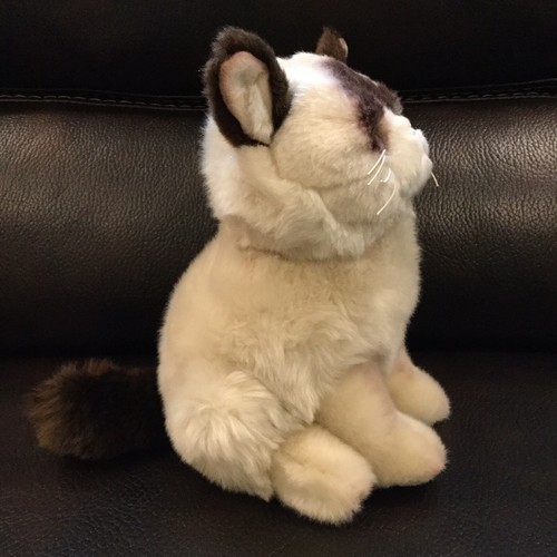 Grumpy Cat Limited Gund plush 9” blue eyed pre owned plush cat. - Picture 3 of 7