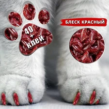 40PCS Cat Claw Covers, Soft Nail Caps with Glue Suitable for Kitten & Adult Cats