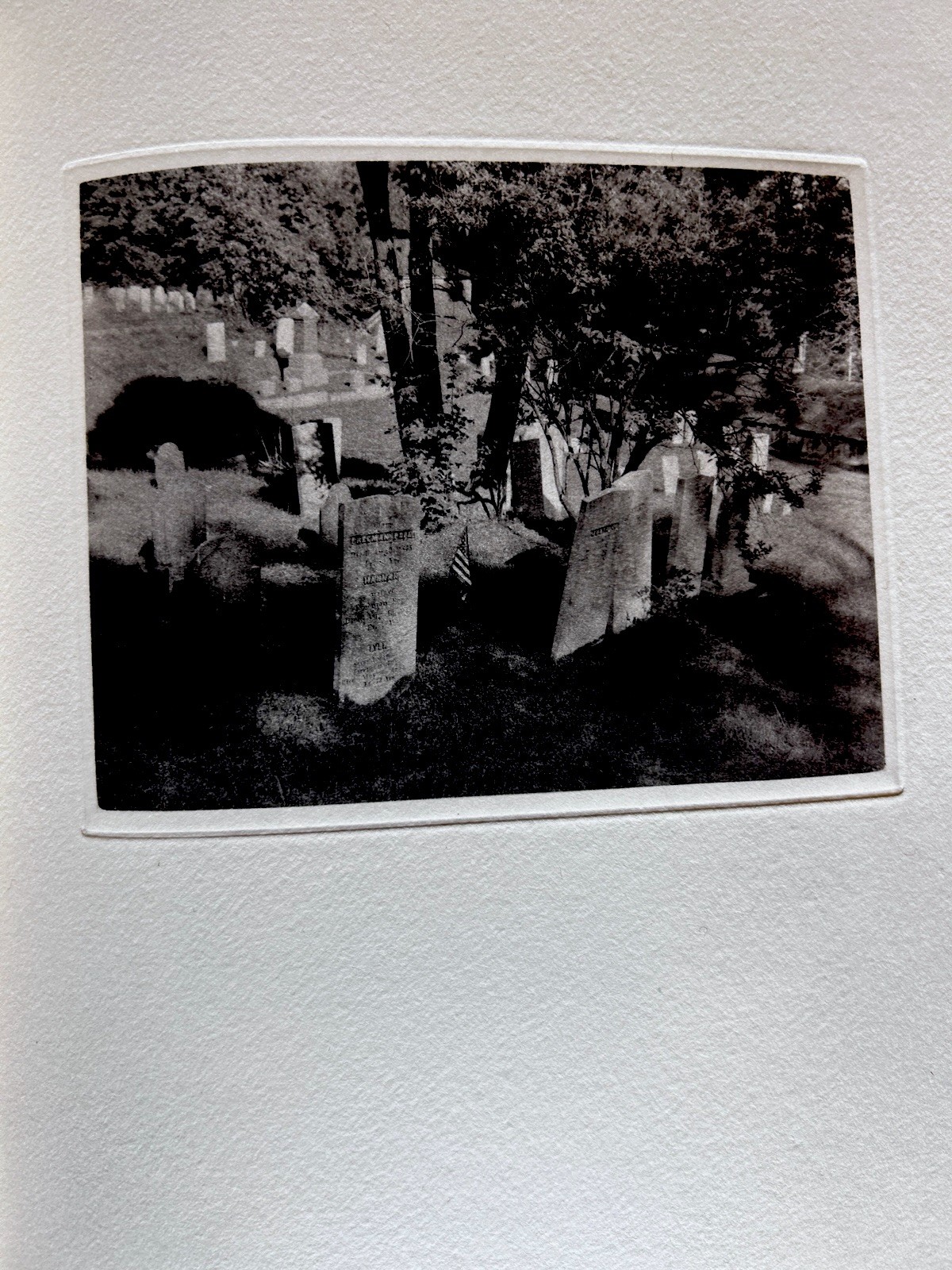 Picture 6 of 7