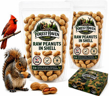 Forest Haven Premium Raw Peanuts for Squirrels   10LB Bulk Squirrel Food   Unsal