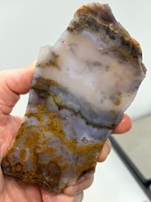 Mexican Cathedral Agate Slab Cabbing Lapidary Combo Ship Avail