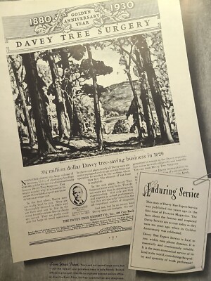 Davey Tree Surgery Experts Local To You Kent Ohio Vintage Print Ad 1940