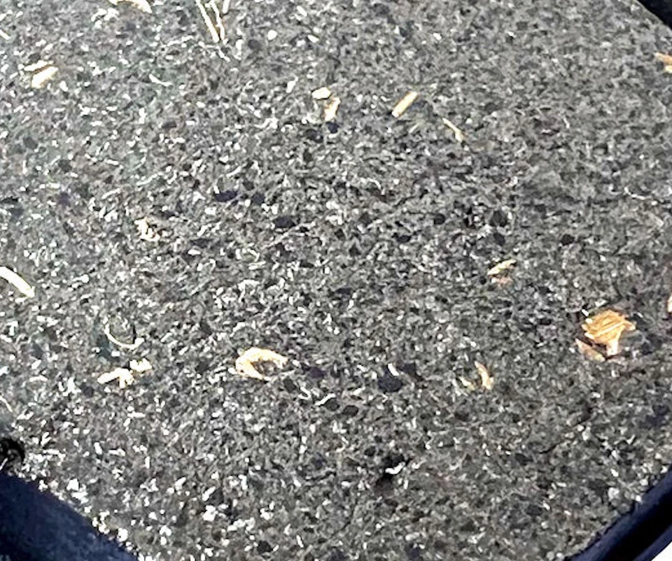 Nuevas pastillas de freno traseras semi sinterizadas/metálicas para gasolina-gas XC 300 2020 Foto 2 de 4