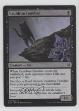 Cauldron Familiar Magic: Throne of Eldraine ELD #081