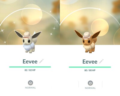 Explorer Hat Eevee   Pokémon Go   Safari Zone   shiny   & Non-Shiny