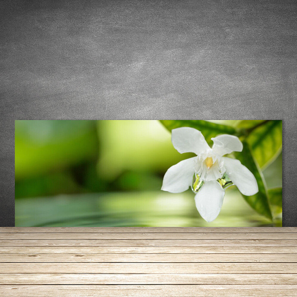 Crédence en verre lavable 125x50 cm pour fond de hotte motif fleurs
