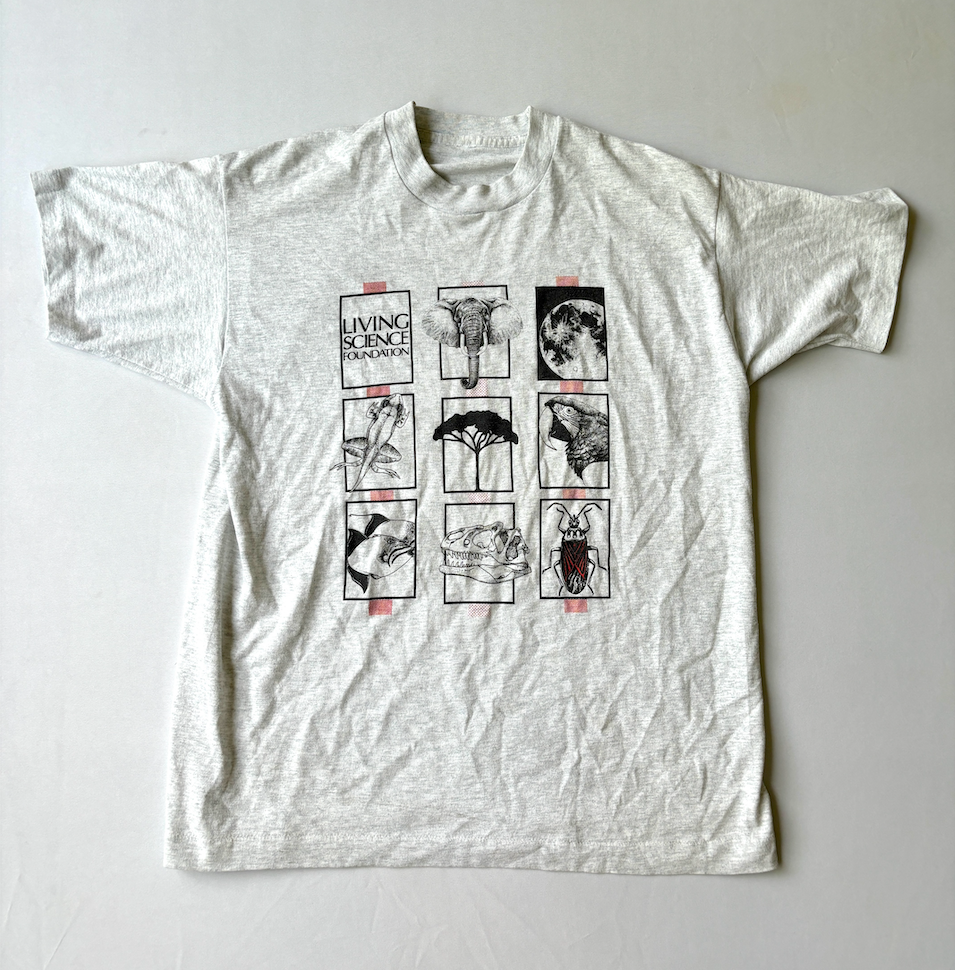 Foto 1 di 6