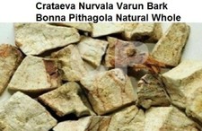 Crataeva Nurvala Varun Bark Bonna Pithagola Natural Whole Herbs 50gm 1.7 OZ '