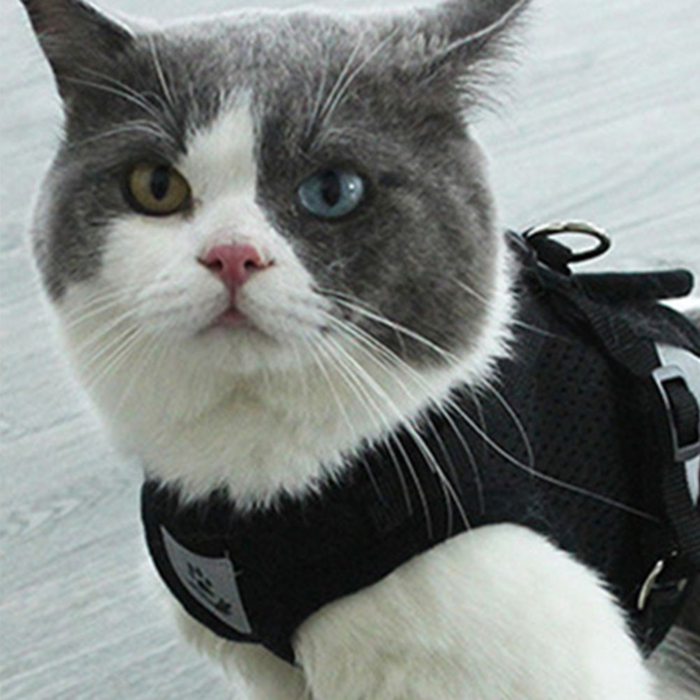 Pettorina Pettorina Cane Riflettente Gassi Camminare Accessori Animali Domestici -Corda da Passeggio foto 2