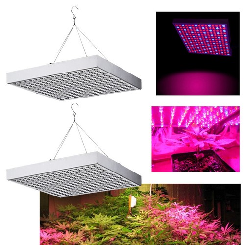 Lámpara LED para plantas luz para plantas 15W/45W espectro completo lámpara de invernadero interior