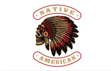 Native America Flag 3'X5' Banner FAST FREE Shipping US SELLER