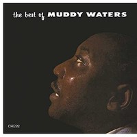 Muddy Waters - Best Of - Vinyl Record - G3Z