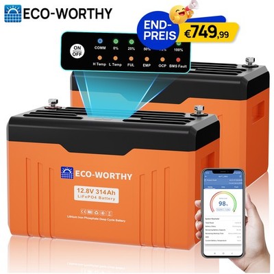 2 Pack 12V 314Ah Bluetooth LiFePO4 Lithium Batterie Statusanzeige für Wohnmobile