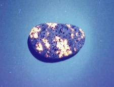 Fluorescent Sodalite ( Yooperlite )   0.7 oz.    A Nice, Bright, Small, Stone 