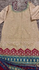 Pakistani/Indian Embroidered 3 Piece Suit Shalwar kameez