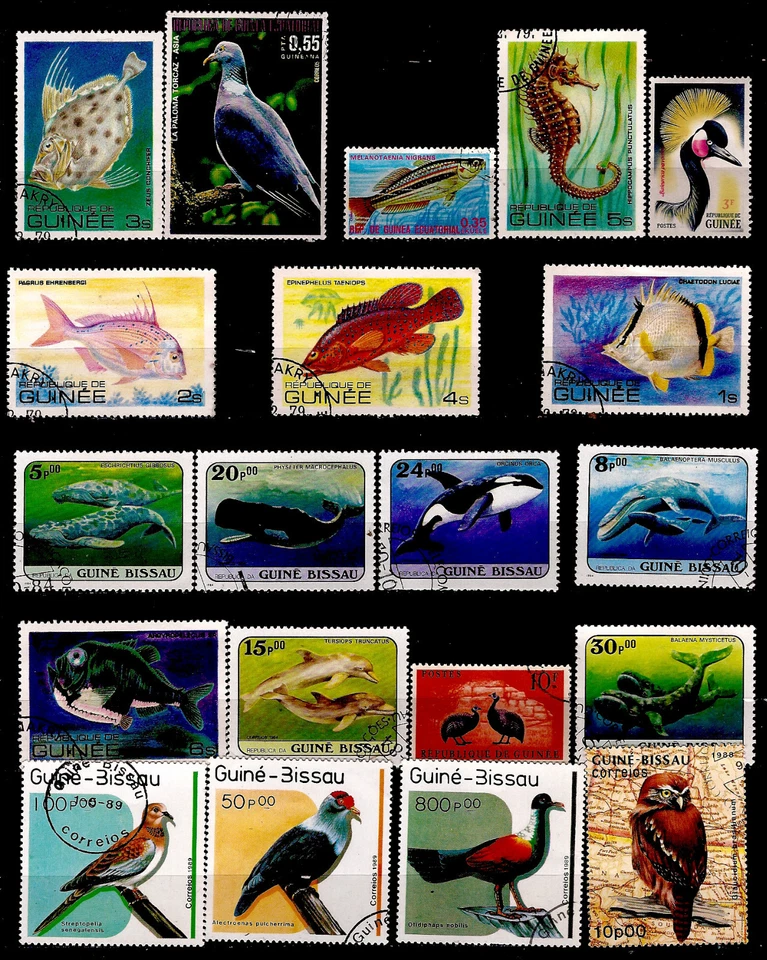GUINEE EQUATORIAL,BISSAU toutes les espèces de poissons et d'oiseaux F82 - Photo 1/1