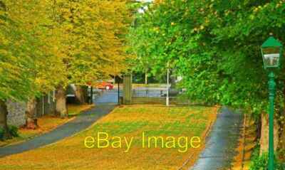 Photo 6x4 Autumn, St Malachy's, Hillsborough (2) Hillsborough/J2359 See  c2008